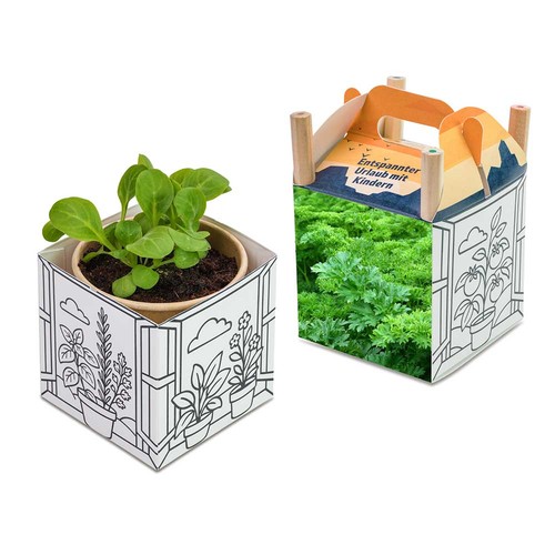 Color & Grow House - Parsley Color & Grow House - Parsley