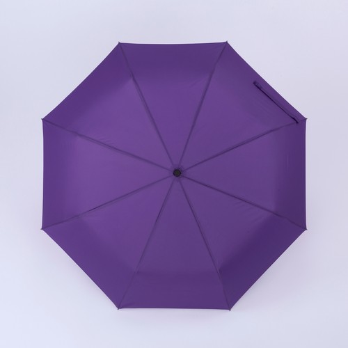 ACTIVE SET: BOUTEILLE D’EAU ISOTHERME ET PARAPLUIE AUTOMATIQUE