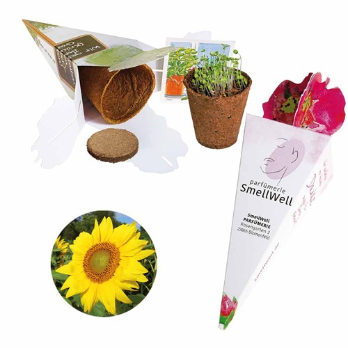 Sac magique - kit de graines - Tournesol