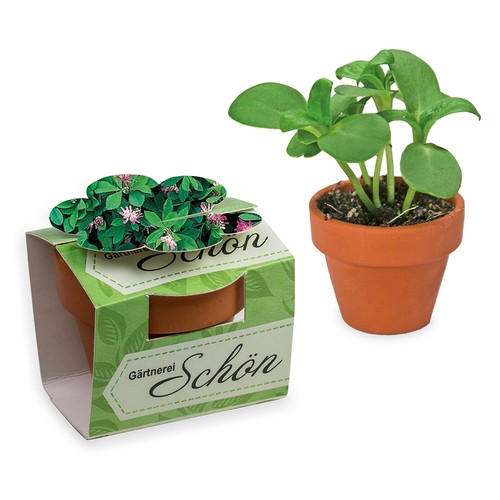 Mini pot terre cuite en fourreau fleur avec graines - Trèfle persan