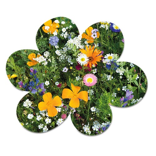 Bloem zaadpapier Bloem zaadpapier