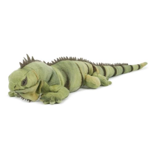 Iguane, moyen 56 cm Iguane, moyen 56 cm