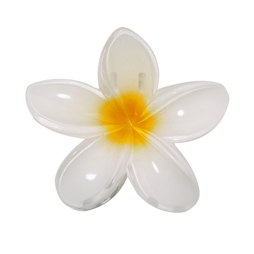 Hair Clip Tixcon Hair Clip Tixcon