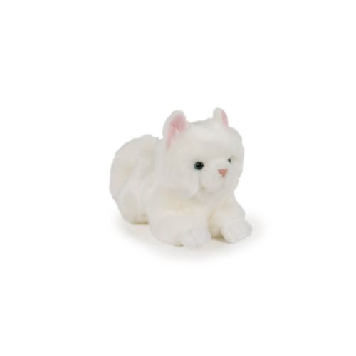 Chat 20 cm