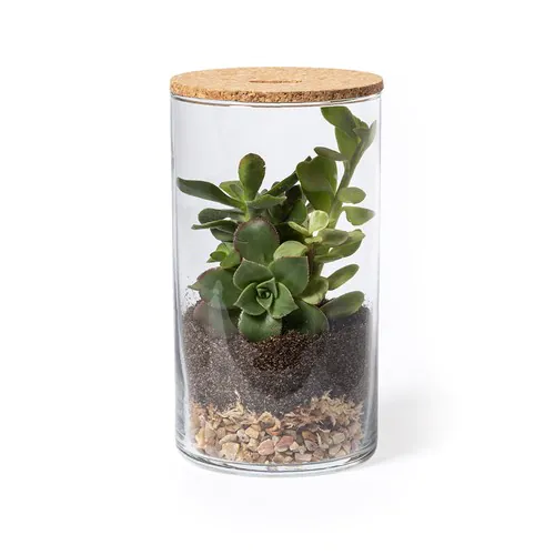 Terrarium Anymak Terrarium Anymak