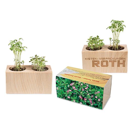 Pflanz-Holz 2er Set mit Samen - Persischer Klee Pflanz-Holz 2er Set mit Samen - Persischer Klee