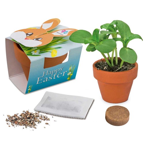 Mini plant-pot bunny with seeds - Egg tree seeds