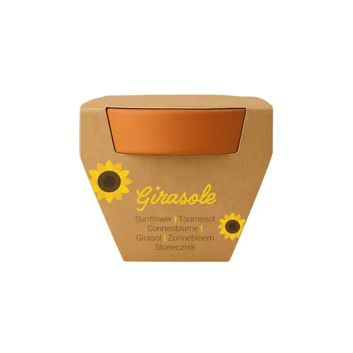 Natural terracotta pot with peat and biodegradable capsule containing seeds Natural terracotta pot with peat and biodegradable capsule containing seeds