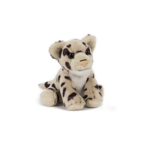 Peluche