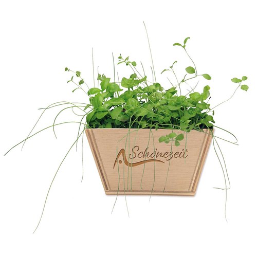 Mini-jardinière bois avec graines - Piment Mini-jardinière bois avec graines - Piment