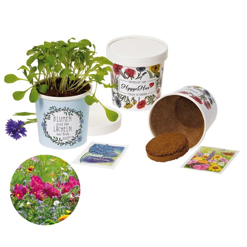 Cup Flower - zaadset - Zomerbloemenmengsel Cup Flower - zaadset - Zomerbloemenmengsel