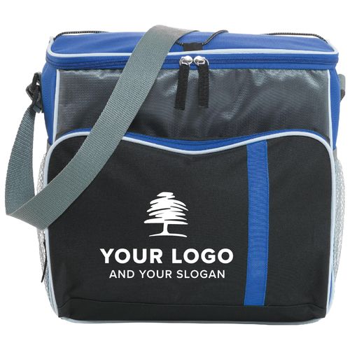 Polyester (600D) cooler bag Ravi