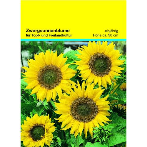 Sachet de graines mini tournesol 82 x 114 mm