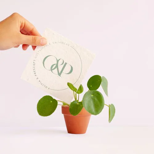 Postal square Postal square