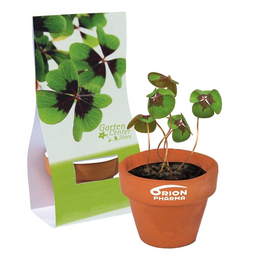 Mini Pot en terre cuite sous pochette avec graines - Four-leaf clover Mini Pot en terre cuite sous pochette avec graines - Four-leaf clover