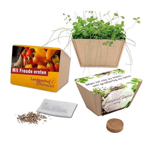 Mini-jardinière bois avec graines - Piment