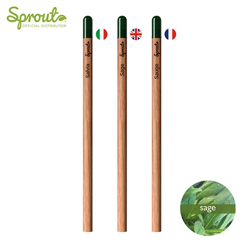 Spout pencil with seeds Gantz Spout pencil with seeds Gantz
