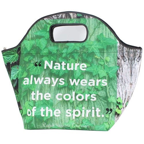 borsa da pranzo isolata borsa da pranzo isolata