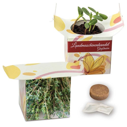 erbe aromatiche erbe aromatiche