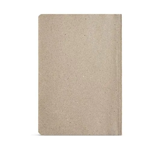Poe Notebook