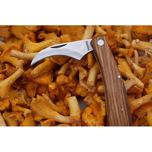 Couteau à champignon Couteau à champignon