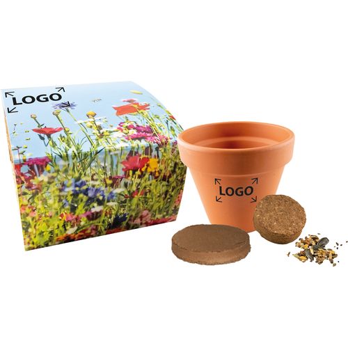 Banquet pour Abeilles