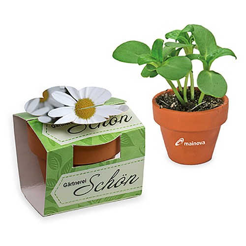 fiore fiore