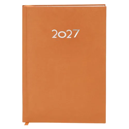 Diary Canek
