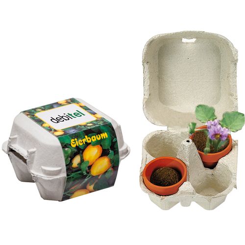 Eggplant Box Eggplant Box