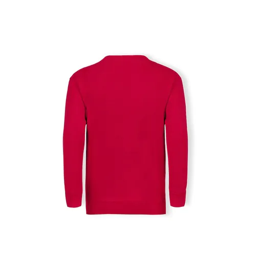 bluza