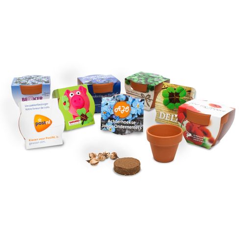 Set coltivazione semi con vasetto di terracotta standard