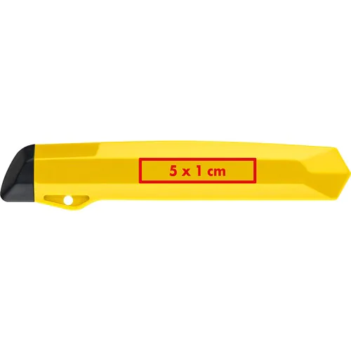 Cutter with removable blade Cutter with removable blade