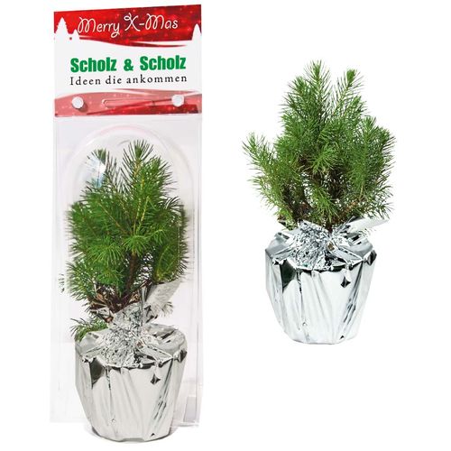 Junior Christmas Tree