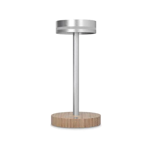ADJUSTABLE RECHARGEABLE TABLE LAMP