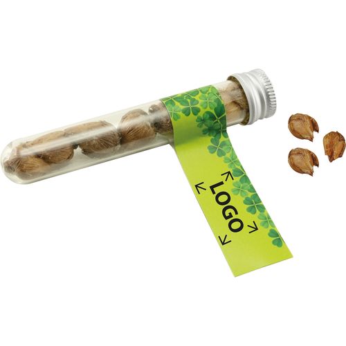 Glass Tube Good Luck