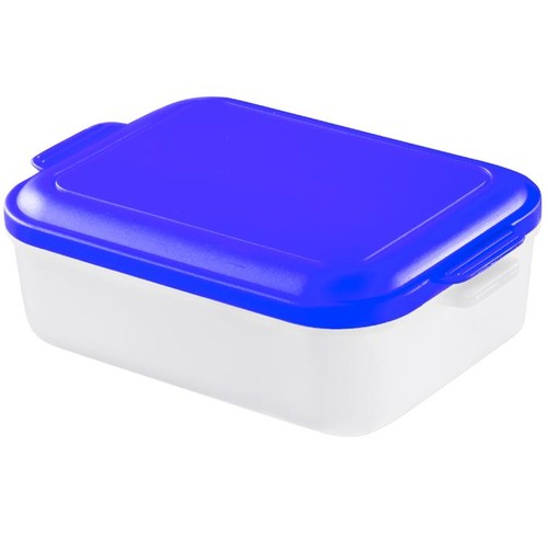 contenitore per il pranzo contenitore per il pranzo