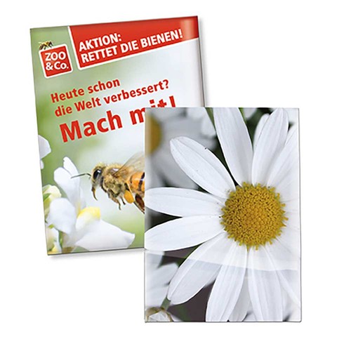 Zaadzakjes standaard papier - Margriet