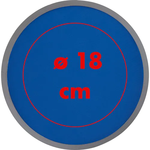 Frisbee livré dans sa pochette