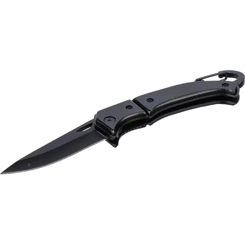 Canif en acier inoxydable Anne