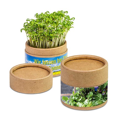 Boite kraft avec graines - Mélange d'herbes aromatiques Boite kraft avec graines - Mélange d'herbes aromatiques