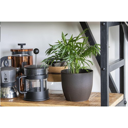 Coffee Flowerpot Coffee Flowerpot