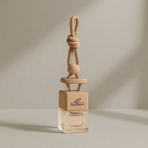 AIR CAR FRESHENER AIR CAR FRESHENER