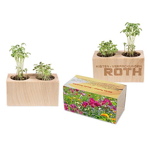 Pflanz-Holz 2er Set mit Samen - Sommerblumenmischung Pflanz-Holz 2er Set mit Samen - Sommerblumenmischung