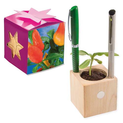 Pot cube boisde bureau en boite star-box avec graines - Piment