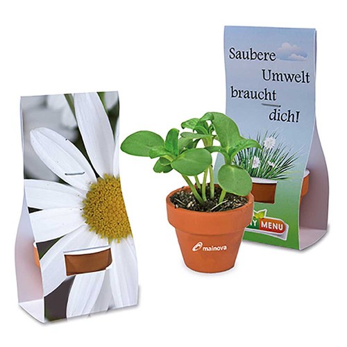 Mini pot terre cuite sous pochette - Marguerite