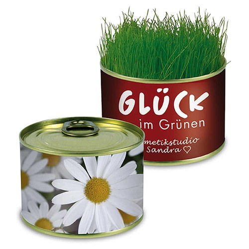 Boite de conserve Nature avec graines - Marguerite Boite de conserve Nature avec graines - Marguerite