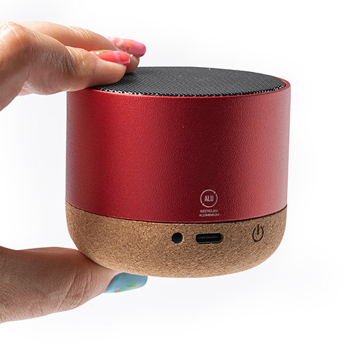 altavoces inalámbricos Santa Monica