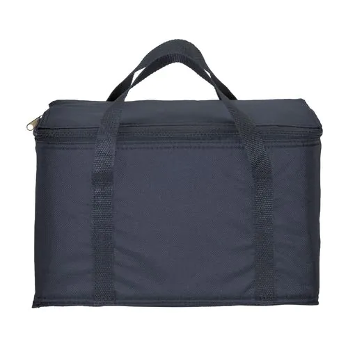 Cooler bag with silver interior