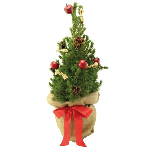 Classic Tree 35-45 cm Classic Tree 35-45 cm