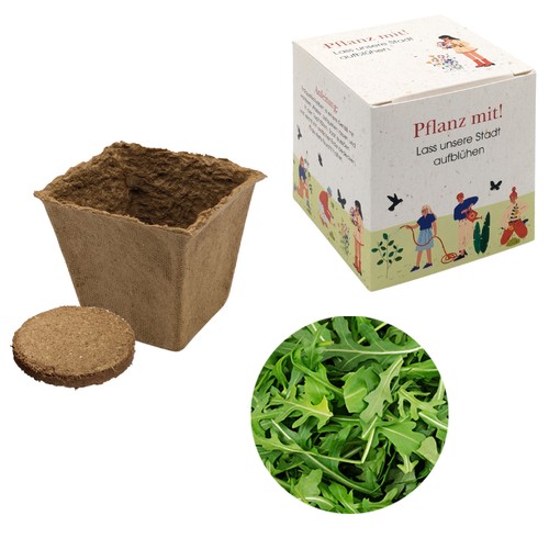 Cube-plantset (groot) - Rucola